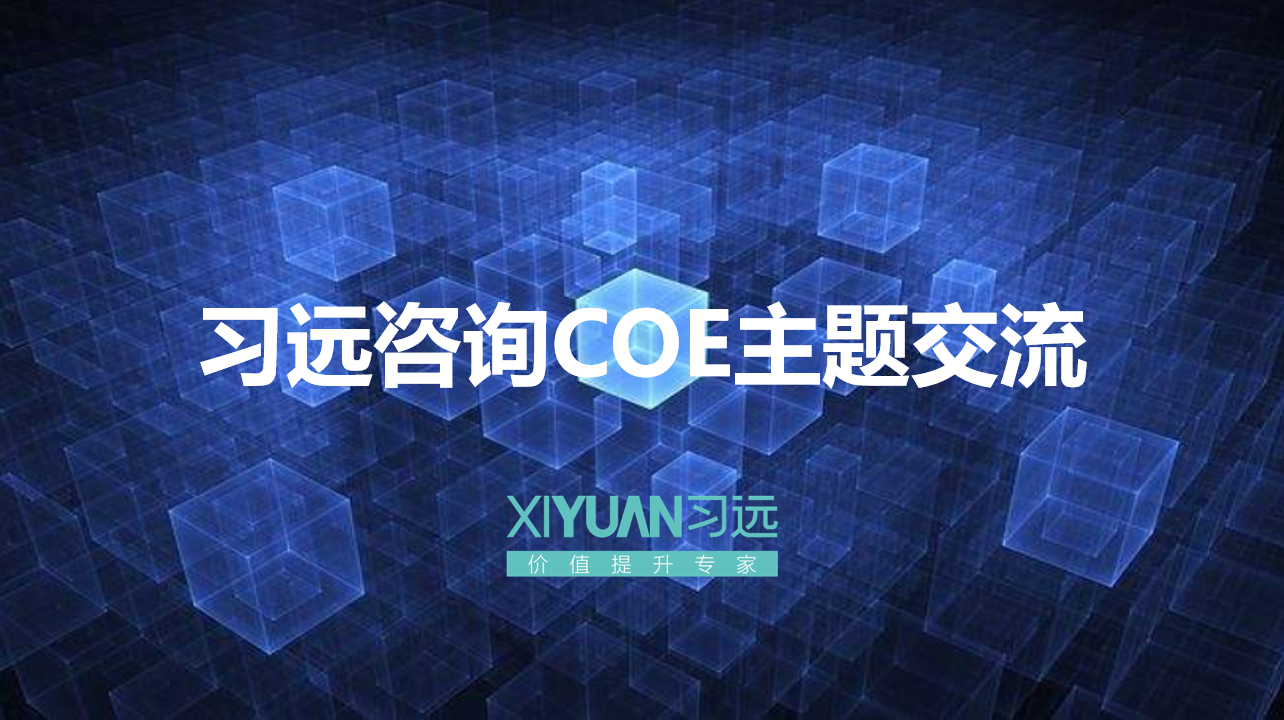 习远咨询COE主题交流